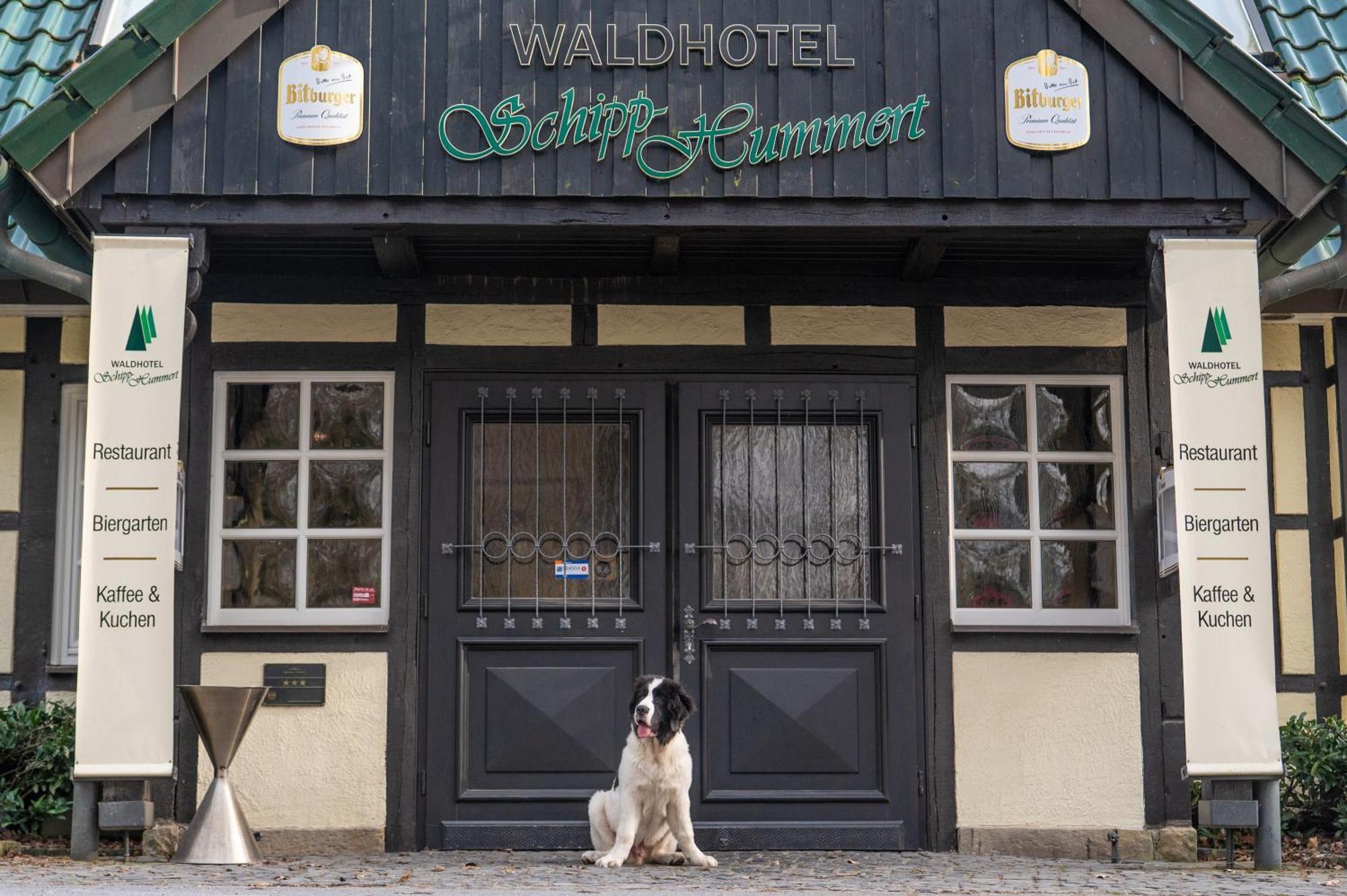 Waldhotel Schipp-Hummert Emsdetten Εξωτερικό φωτογραφία